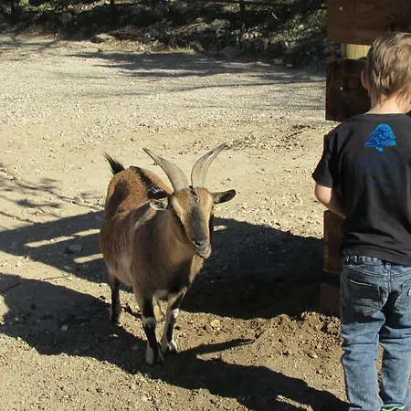 Familia Martins Mobilhome Familial Campsite